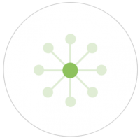 Network icon1